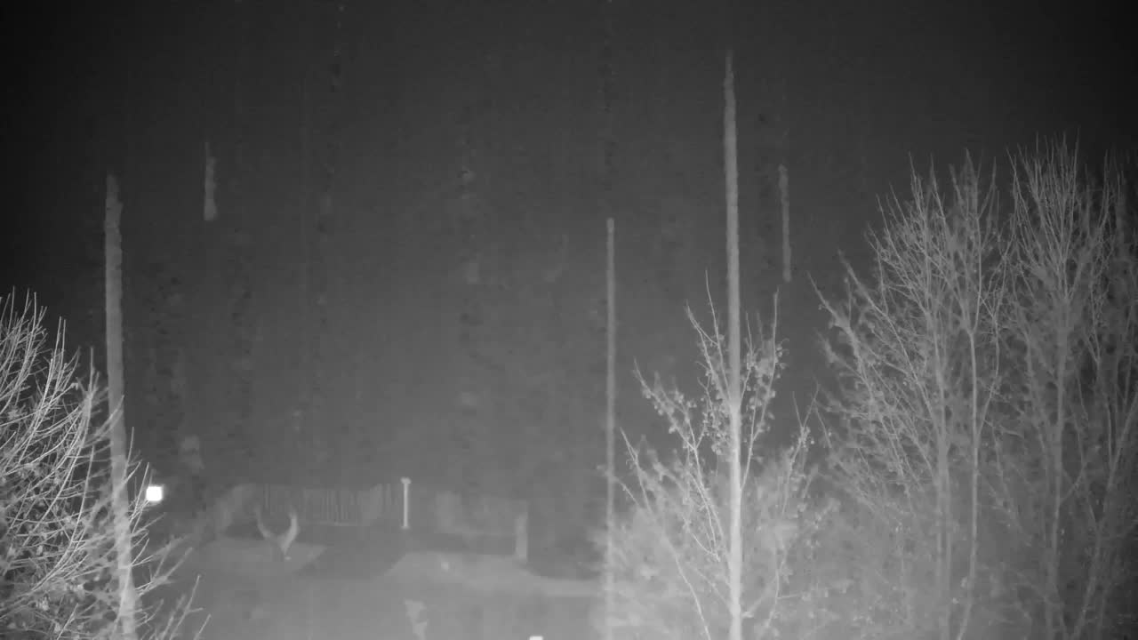 Webcam Ribnik Vrbje – Žalec