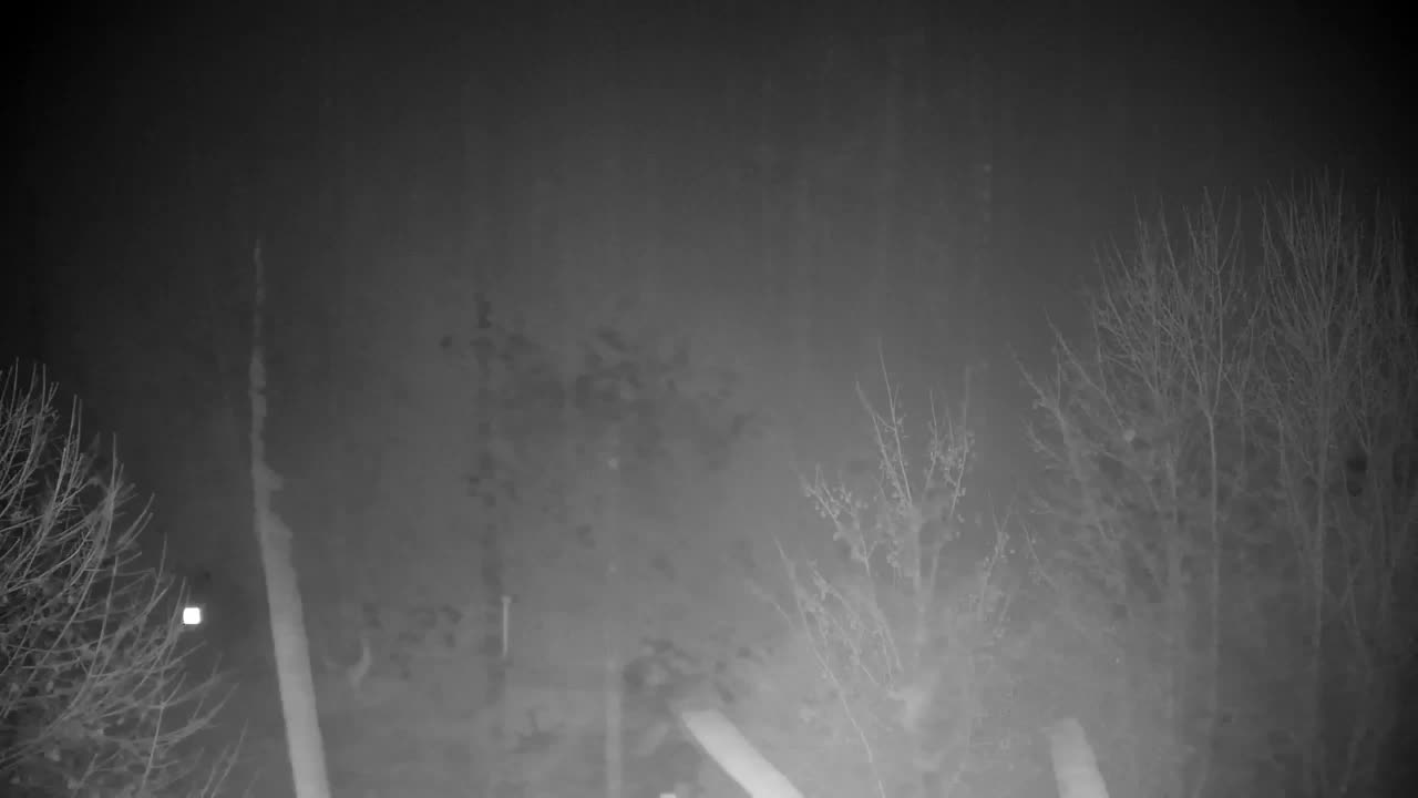 Webcam Ribnik Vrbje – Žalec