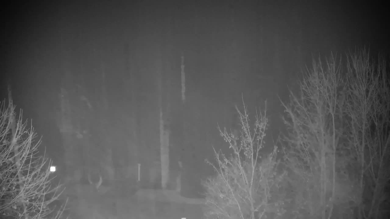 Webcam Ribnik Vrbje – Žalec