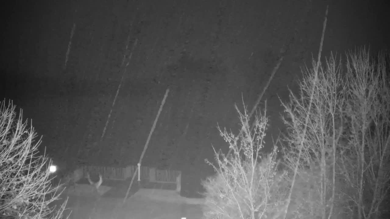 Webcam Ribnik Vrbje – Žalec