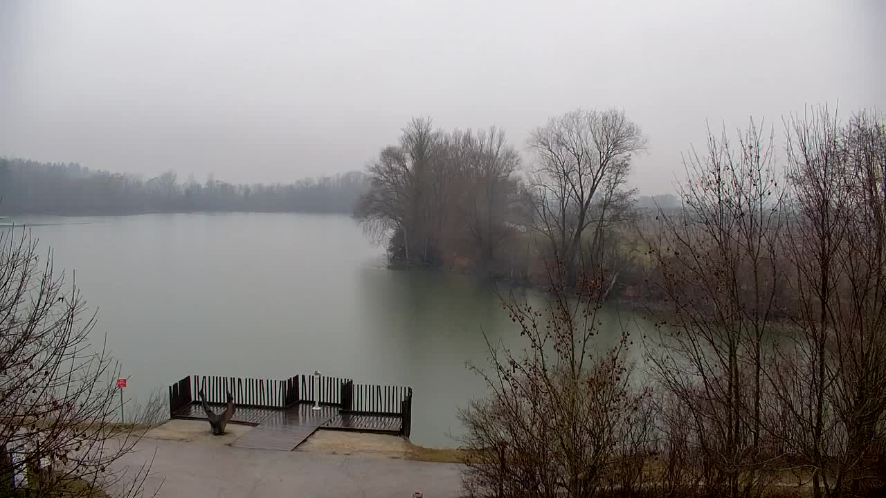 Webcam Ribnik Vrbje – Žalec