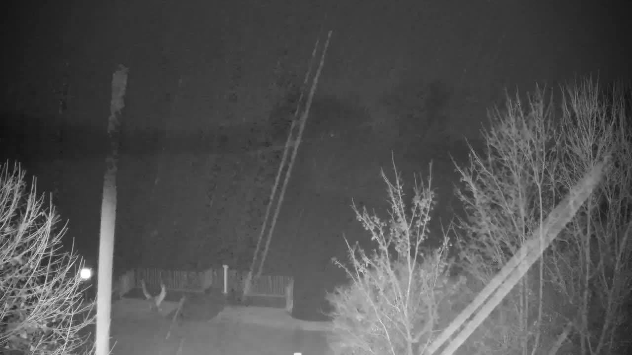 Webcam Ribnik Vrbje – Žalec