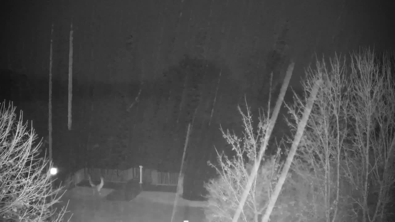 Webcam Ribnik Vrbje – Žalec