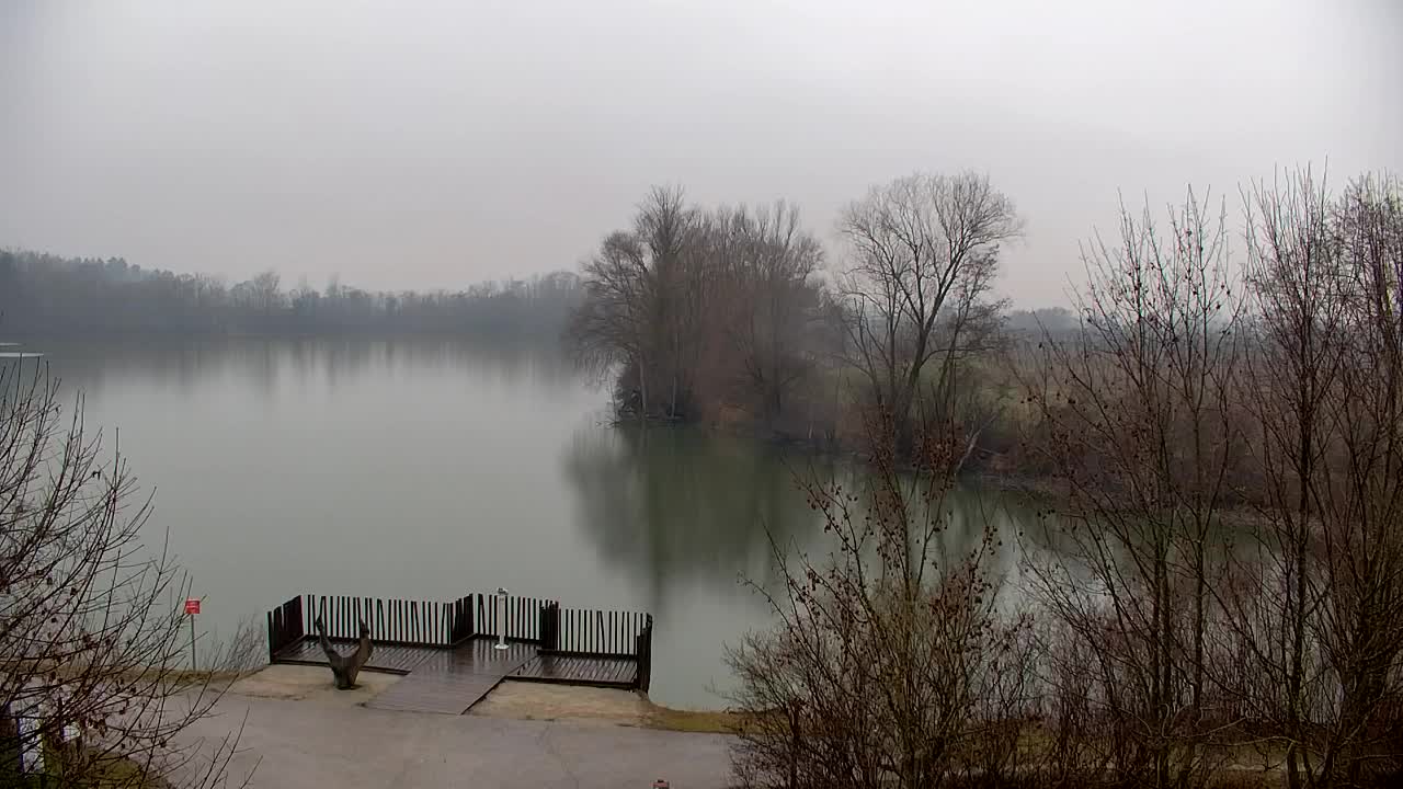 Webcam Ribnik Vrbje – Žalec