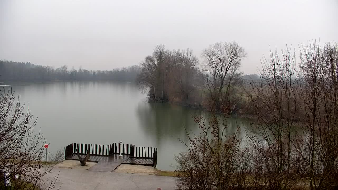 Spletna kamera Ribnik Vrbje – Žalec