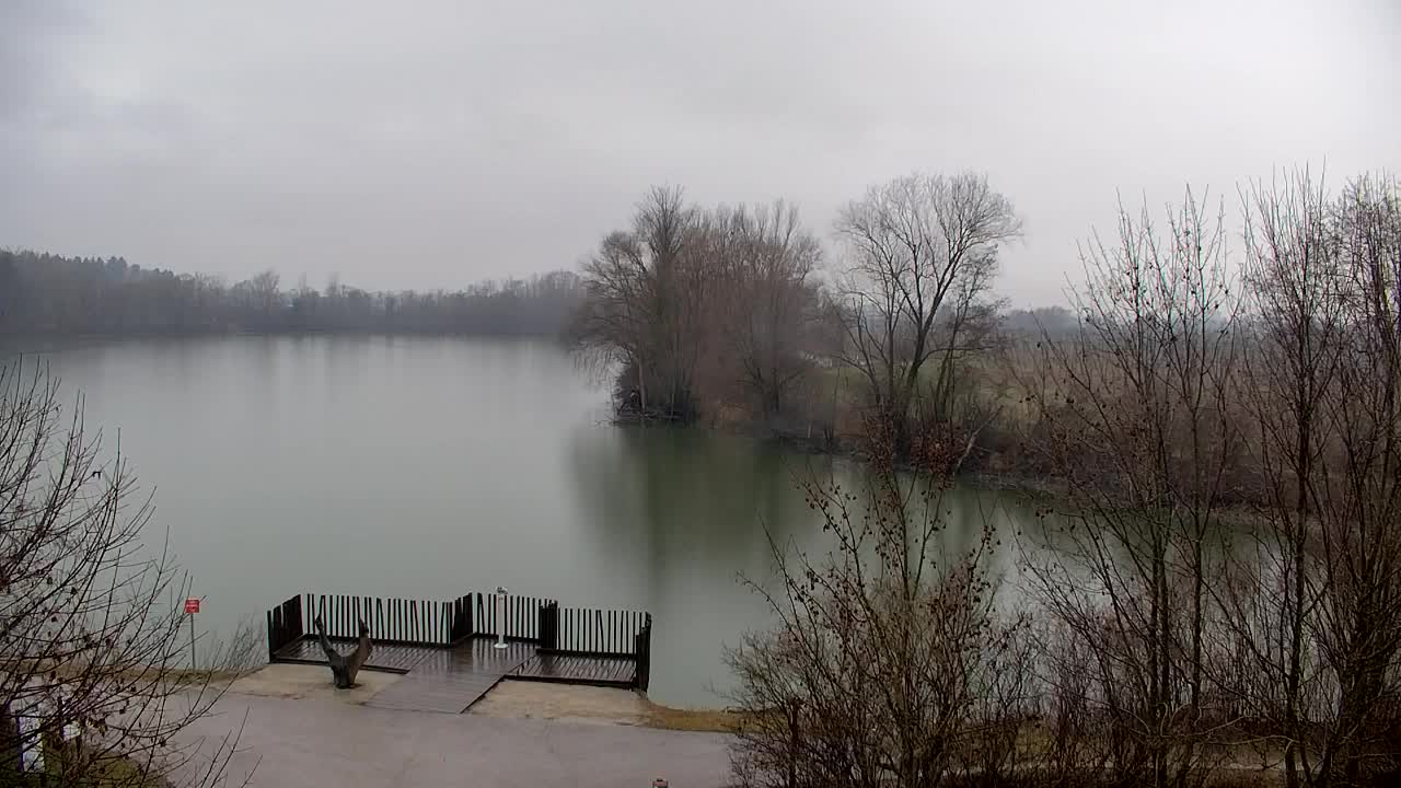 Webcam Ribnik Vrbje – Žalec