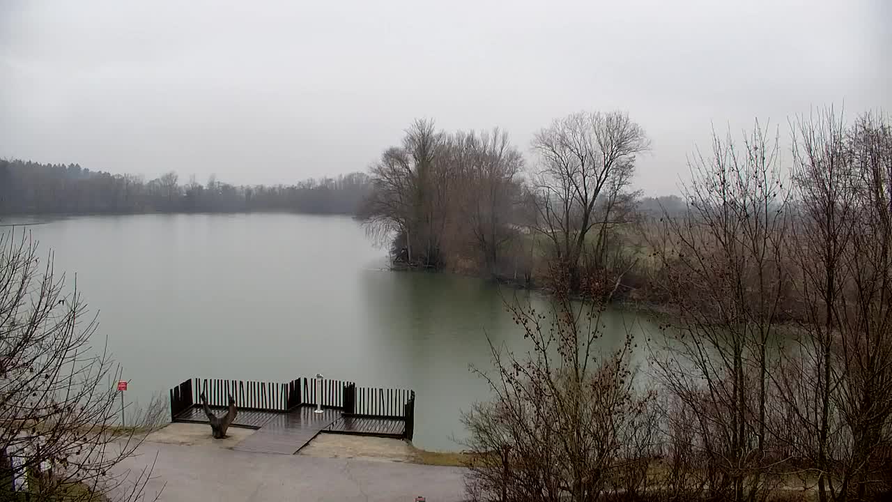 Webcam Ribnik Vrbje – Žalec