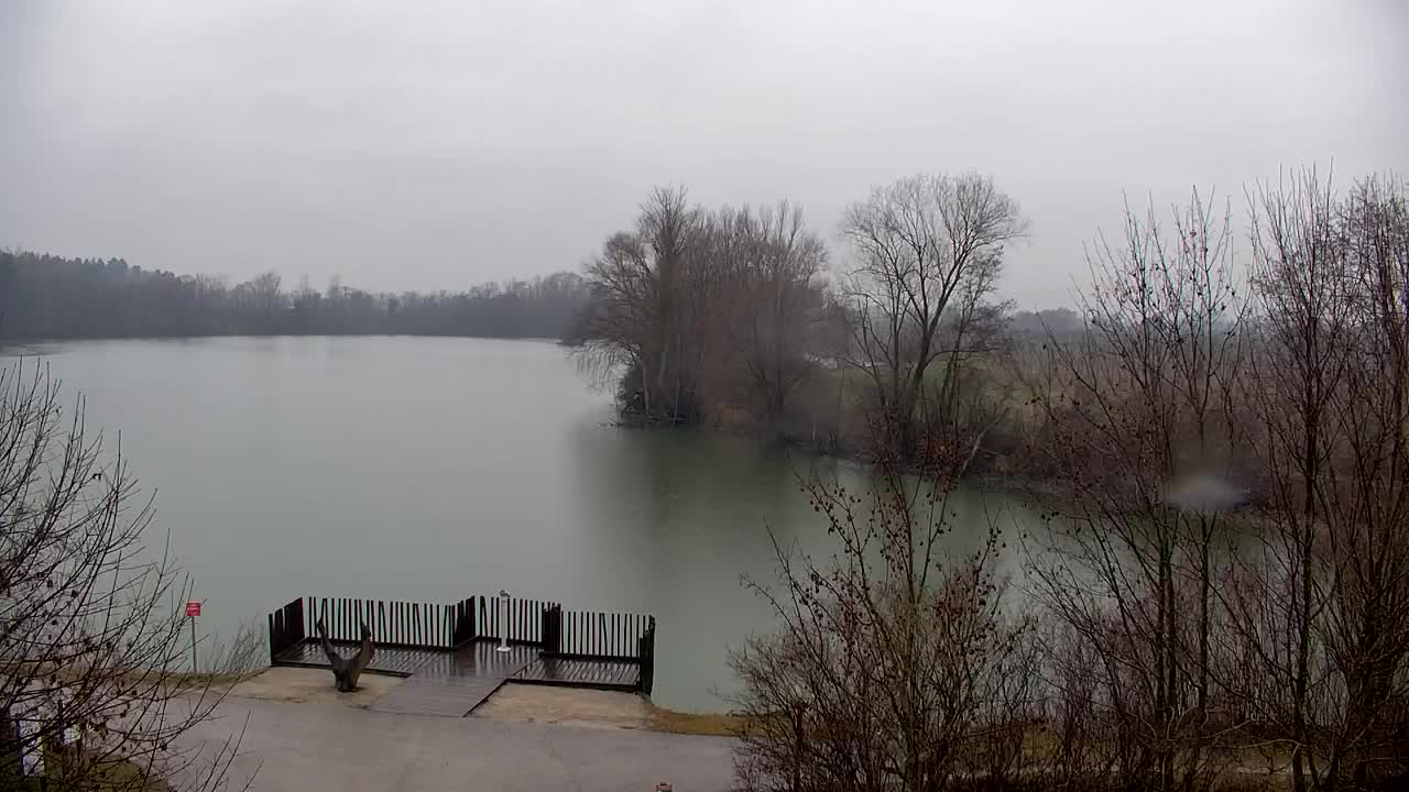 Webcam Ribnik Vrbje – Žalec