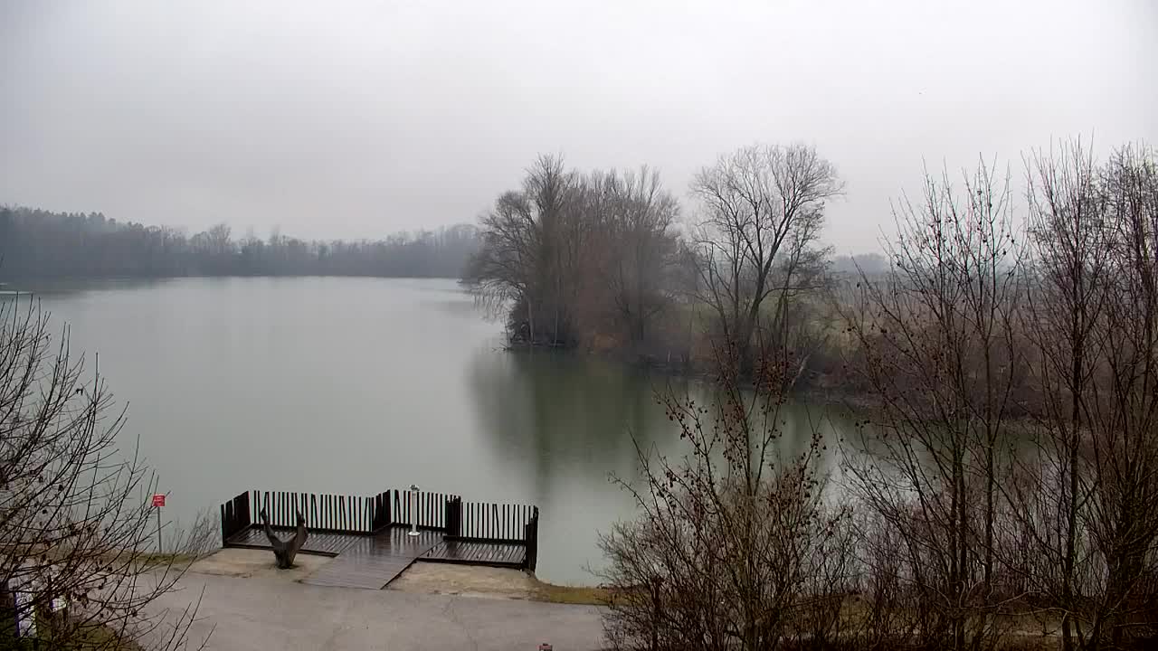 Webcam Ribnik Vrbje – Žalec