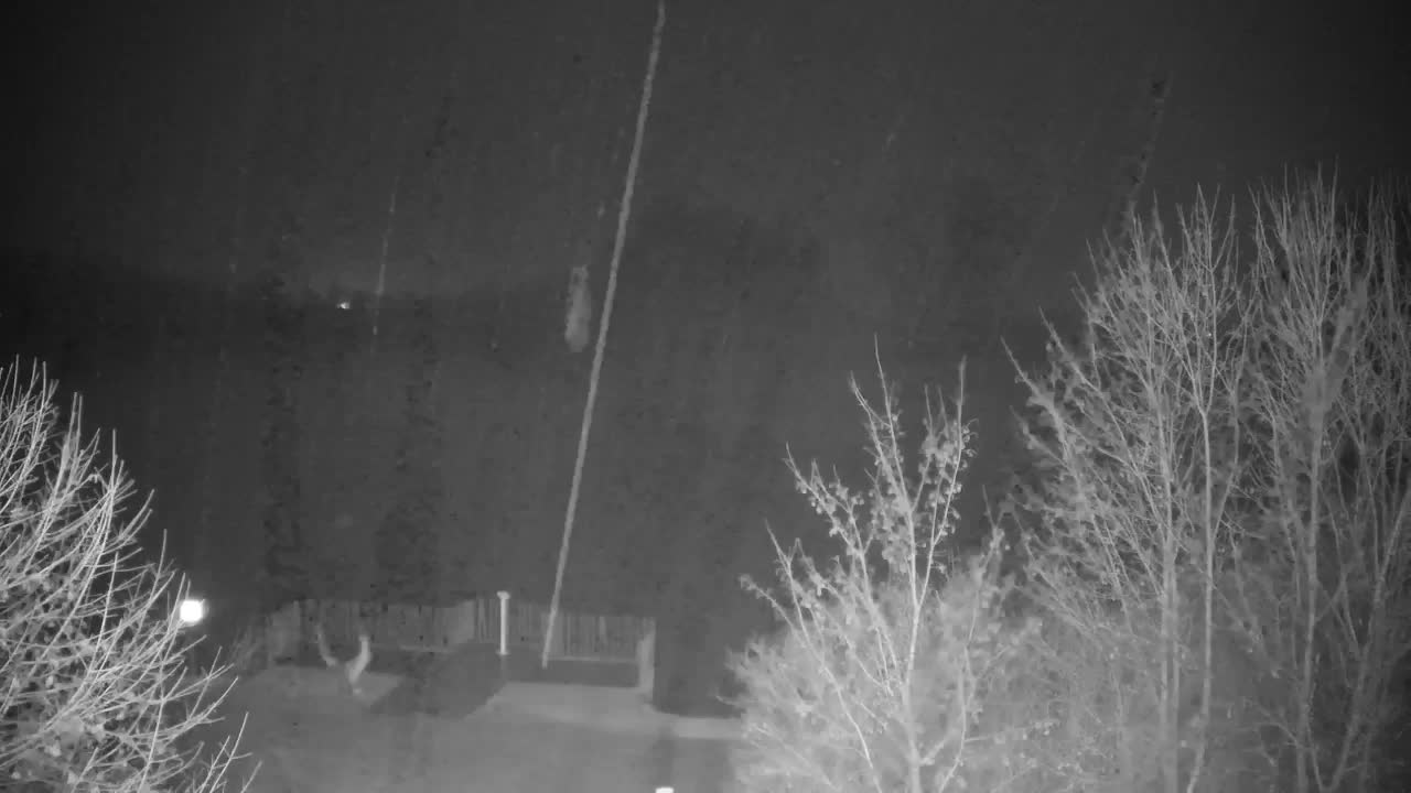 Webcam Ribnik Vrbje – Žalec