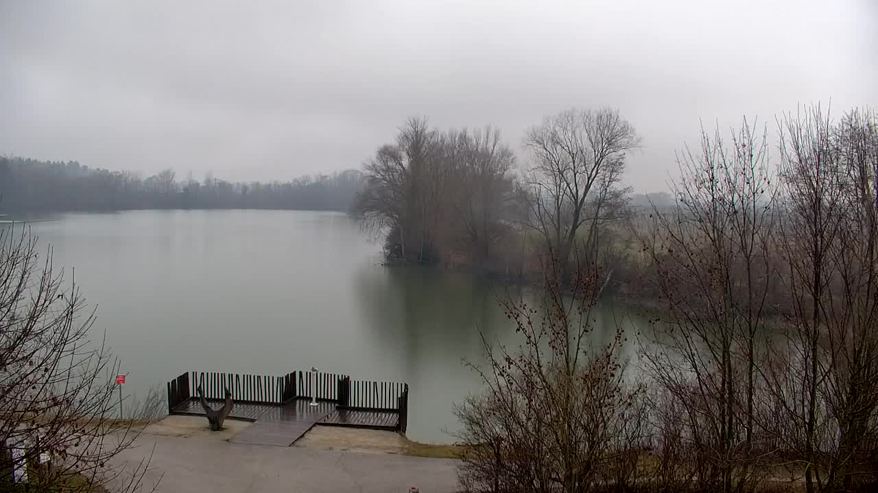 Webcam Ribnik Vrbje – Žalec