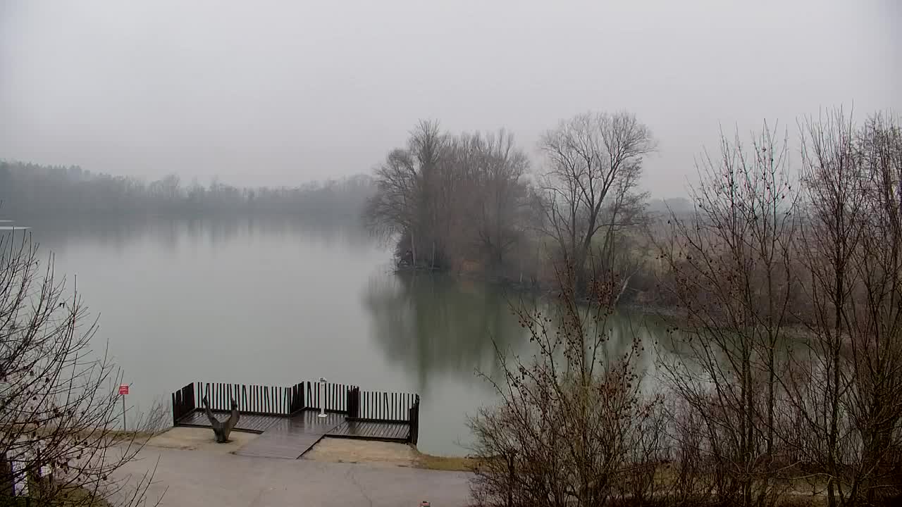 Webcam Ribnik Vrbje – Žalec