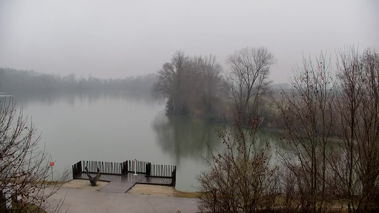 Webcam Ribnik Vrbje – Žalec