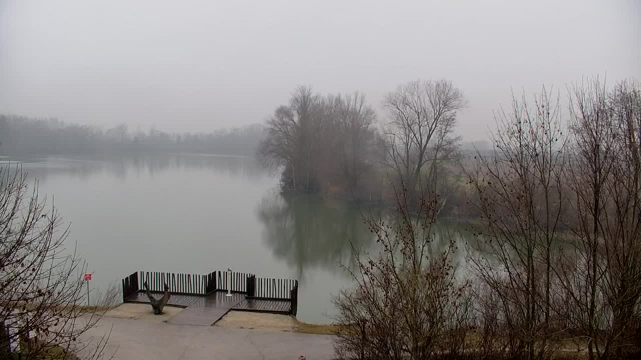 Spletna kamera Ribnik Vrbje – Žalec