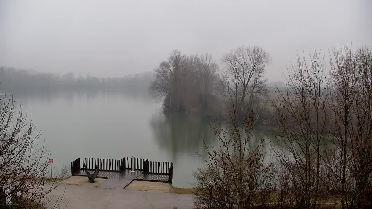 Spletna kamera Ribnik Vrbje – Žalec