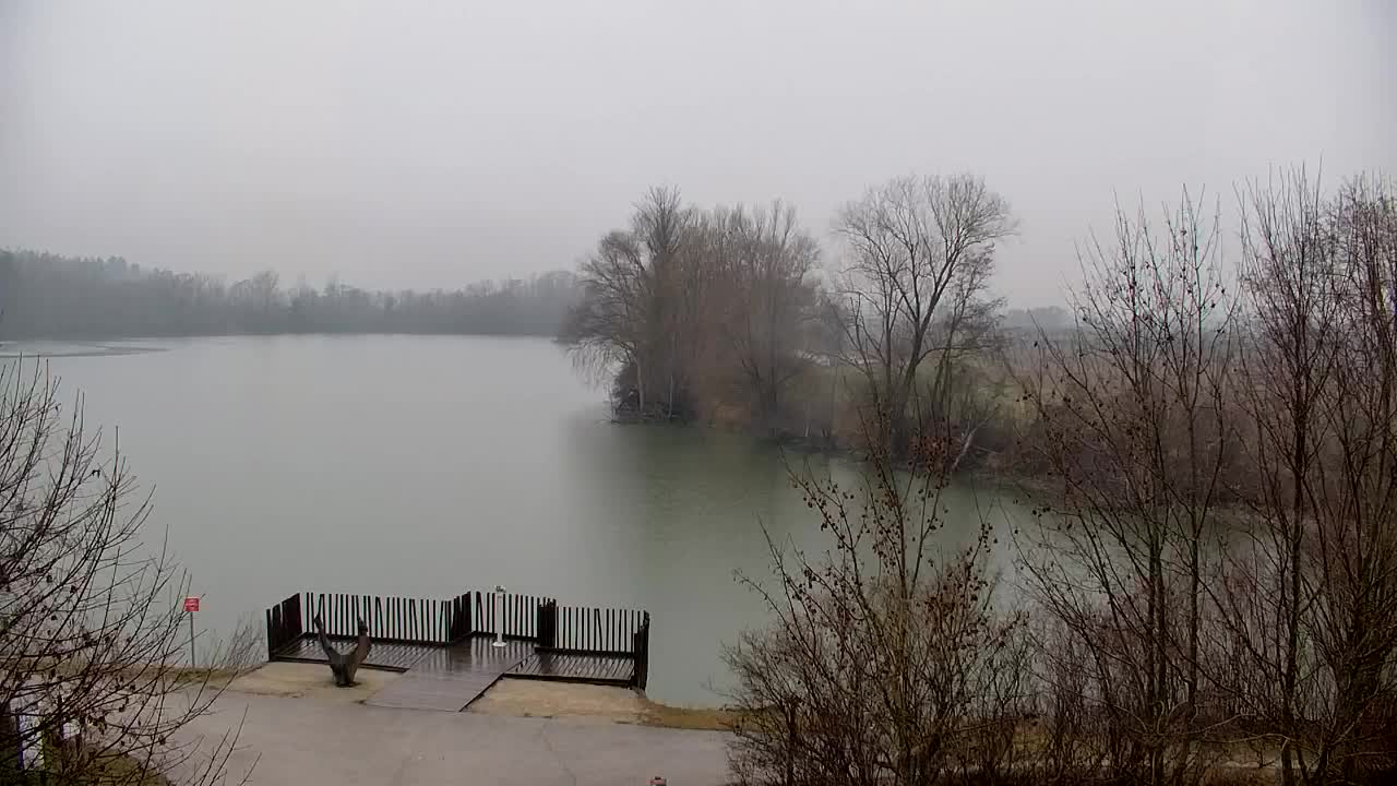 Spletna kamera Ribnik Vrbje – Žalec