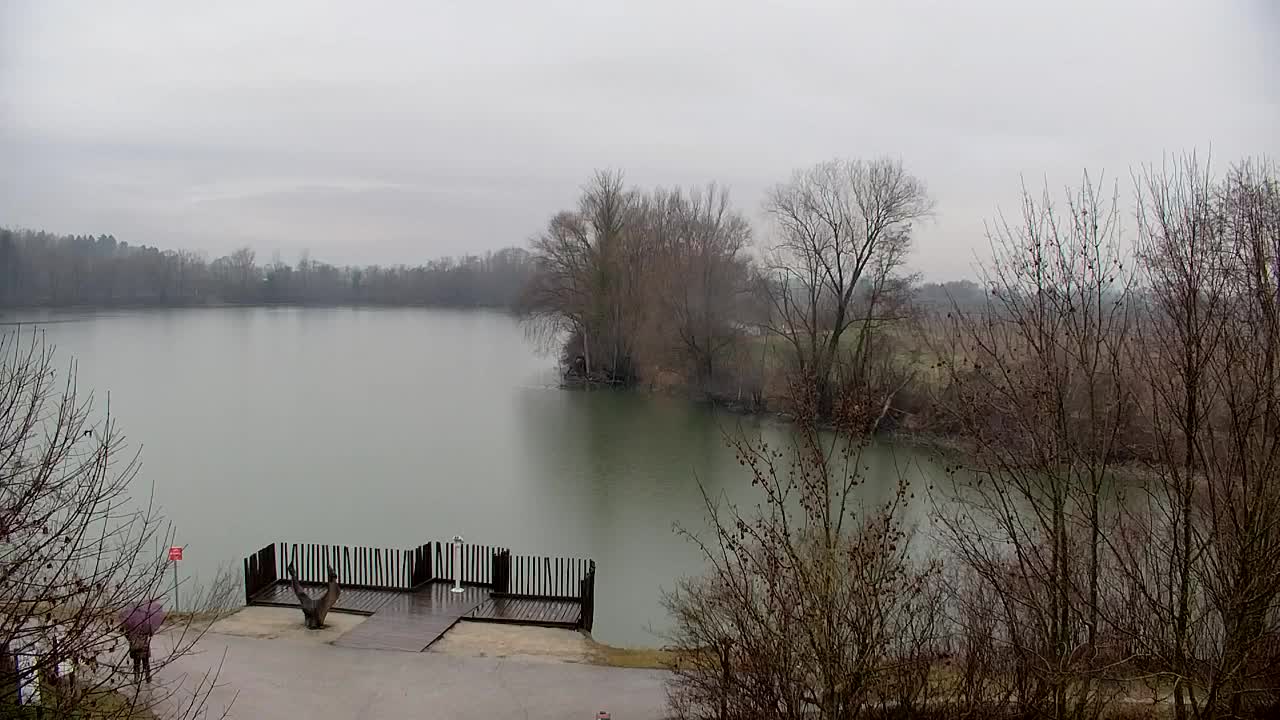 Webcam Ribnik Vrbje – Žalec