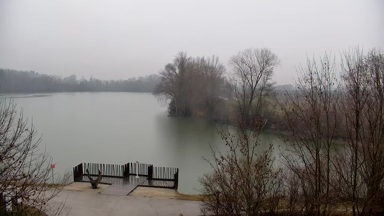 Webcam Ribnik Vrbje – Žalec