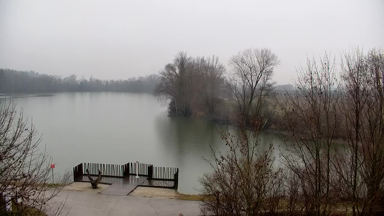 Webcam Ribnik Vrbje – Žalec