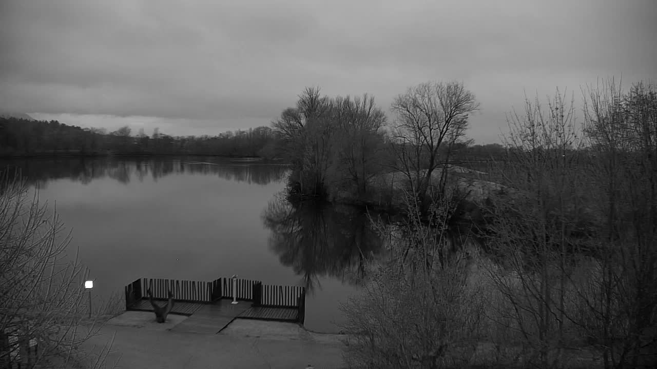 Spletna kamera Ribnik Vrbje – Žalec