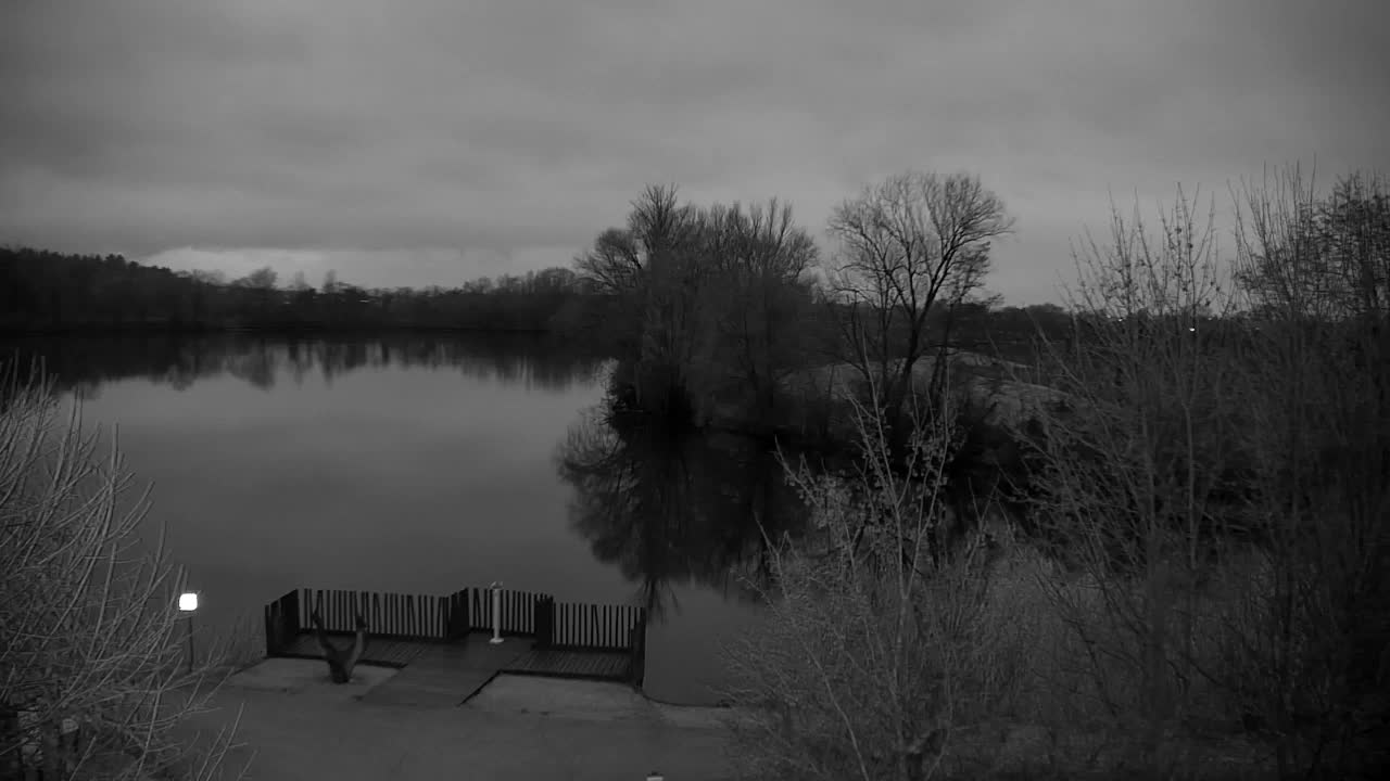 Webcam Ribnik Vrbje – Žalec