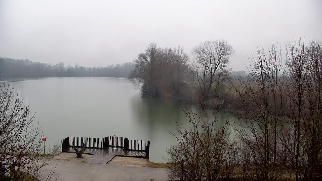 Webcam Ribnik Vrbje – Žalec