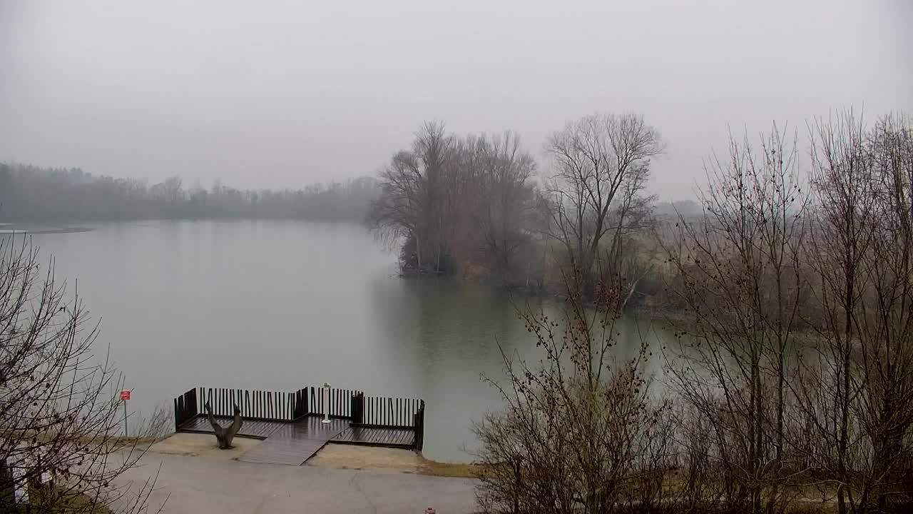 Webcam Ribnik Vrbje – Žalec