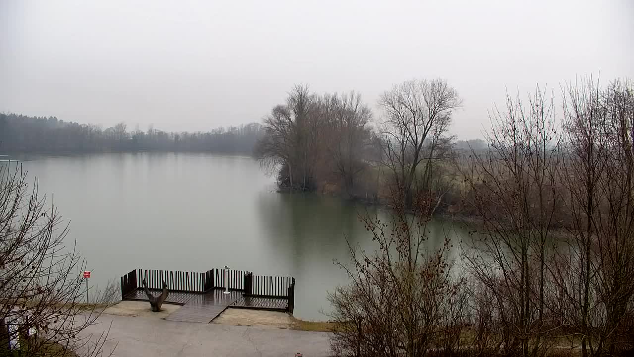 Webcam Ribnik Vrbje – Žalec