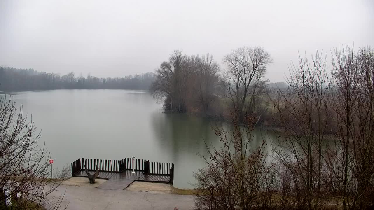 Webcam Ribnik Vrbje – Žalec