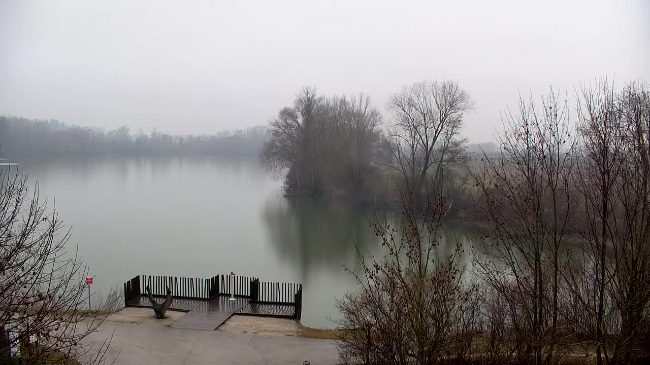 Webcam Ribnik Vrbje – Žalec