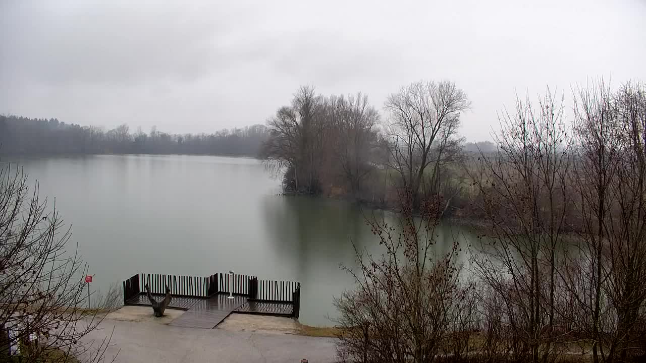 Webcam Ribnik Vrbje – Žalec