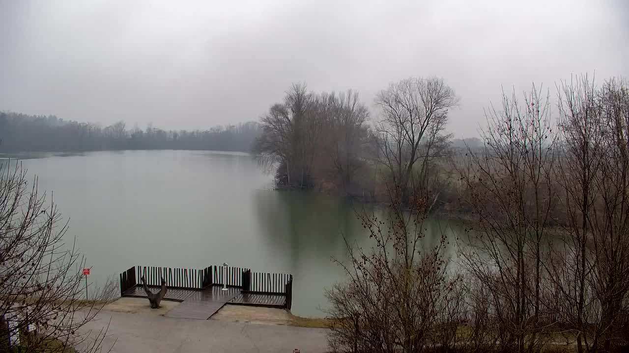 Webcam Ribnik Vrbje – Žalec