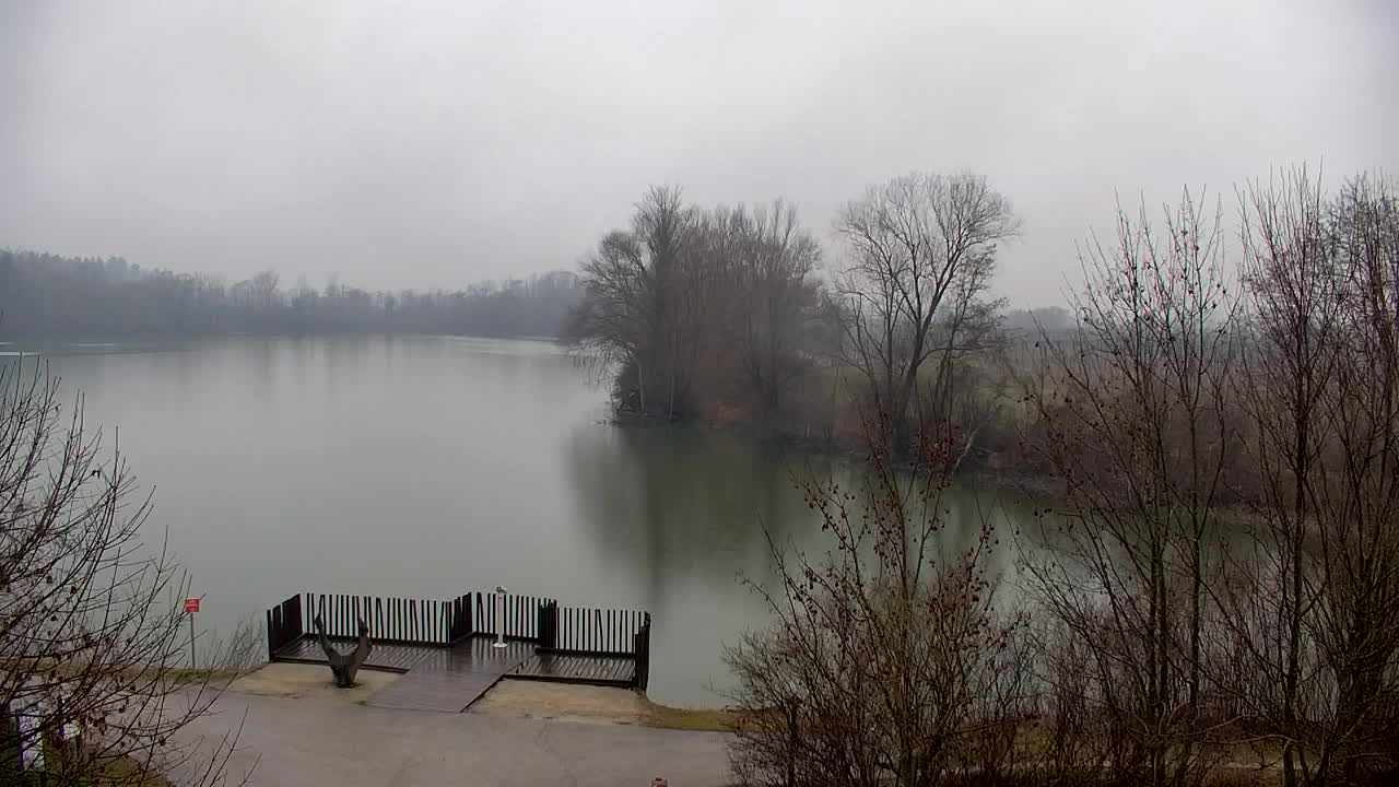 Webcam Ribnik Vrbje – Žalec