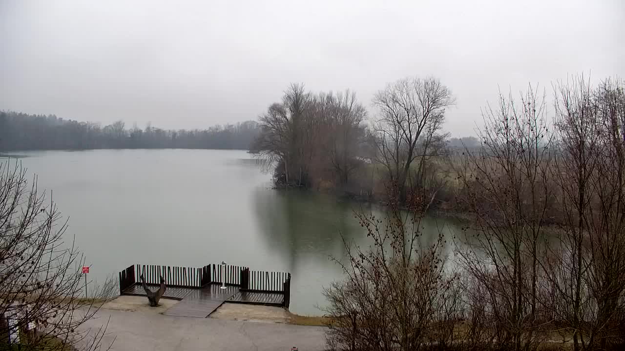 Webcam Ribnik Vrbje – Žalec