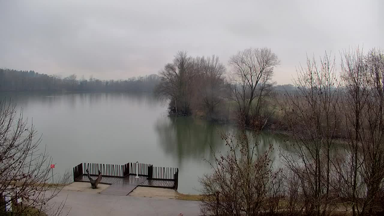 Webcam Ribnik Vrbje – Žalec