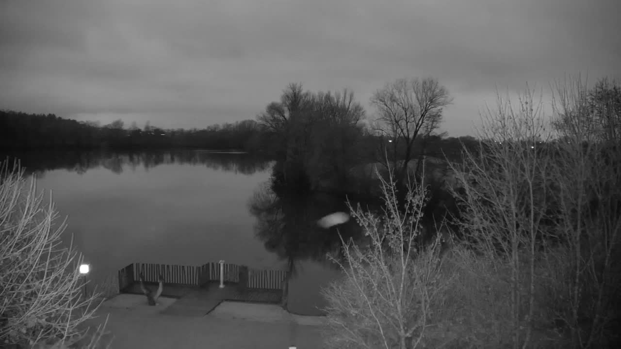 Webcam Ribnik Vrbje – Žalec