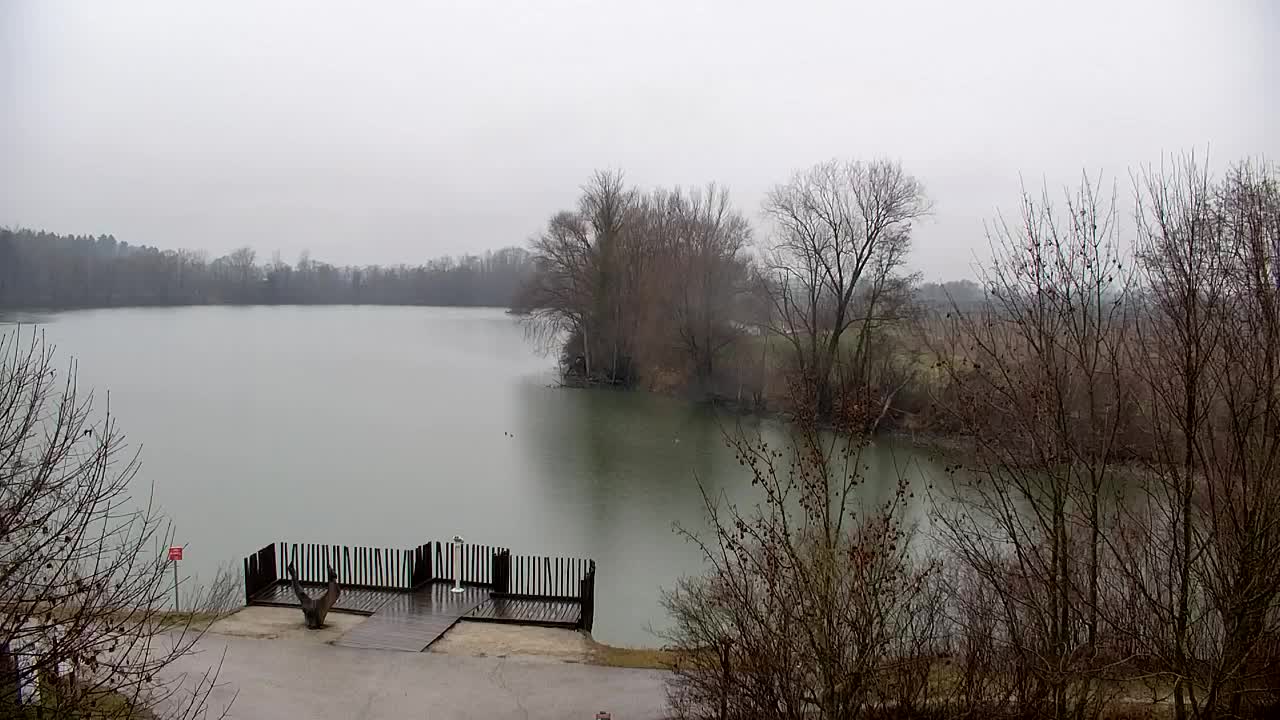 Webcam Ribnik Vrbje – Žalec