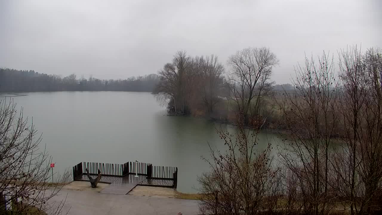 Webcam Ribnik Vrbje – Žalec