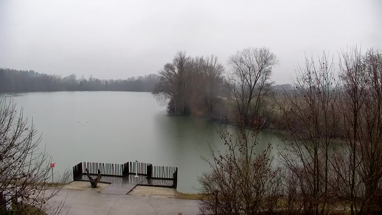 Webcam Ribnik Vrbje – Žalec