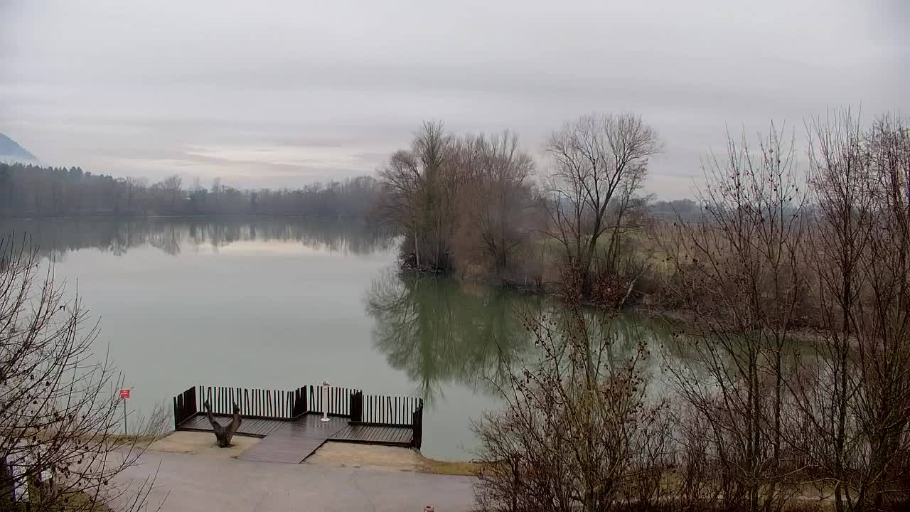 Webcam Ribnik Vrbje – Žalec