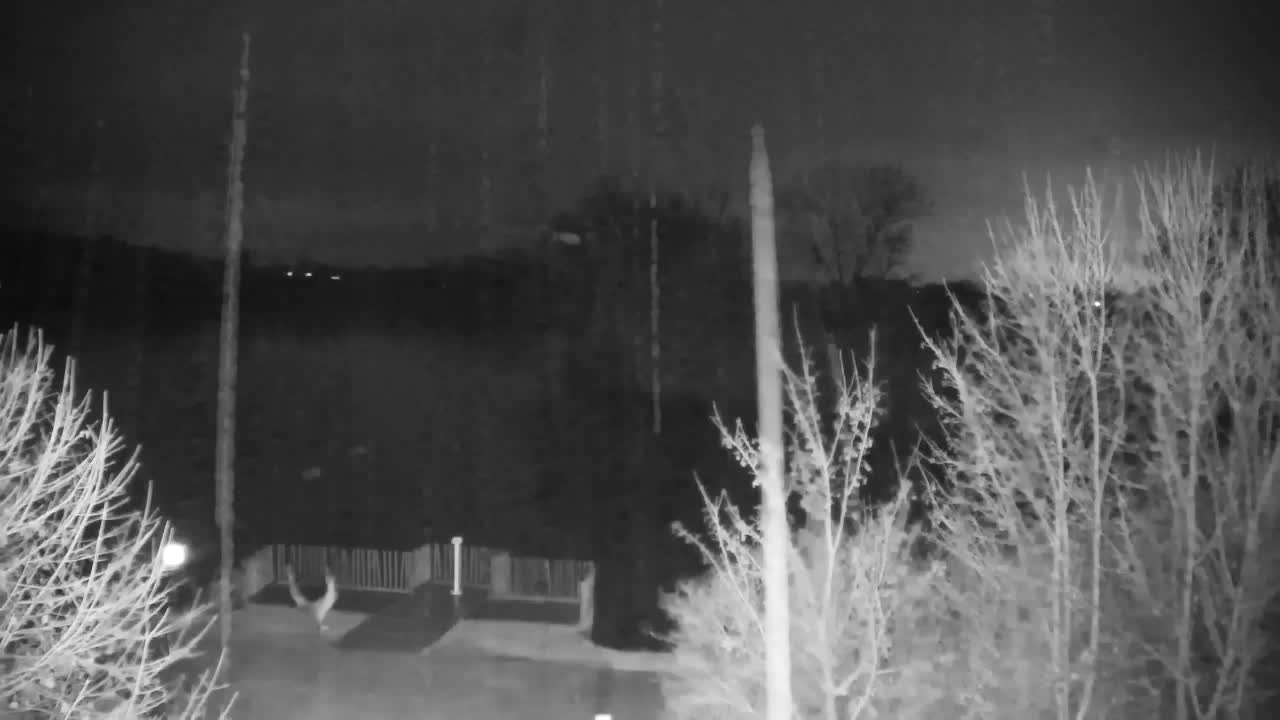 Webcam Ribnik Vrbje – Žalec