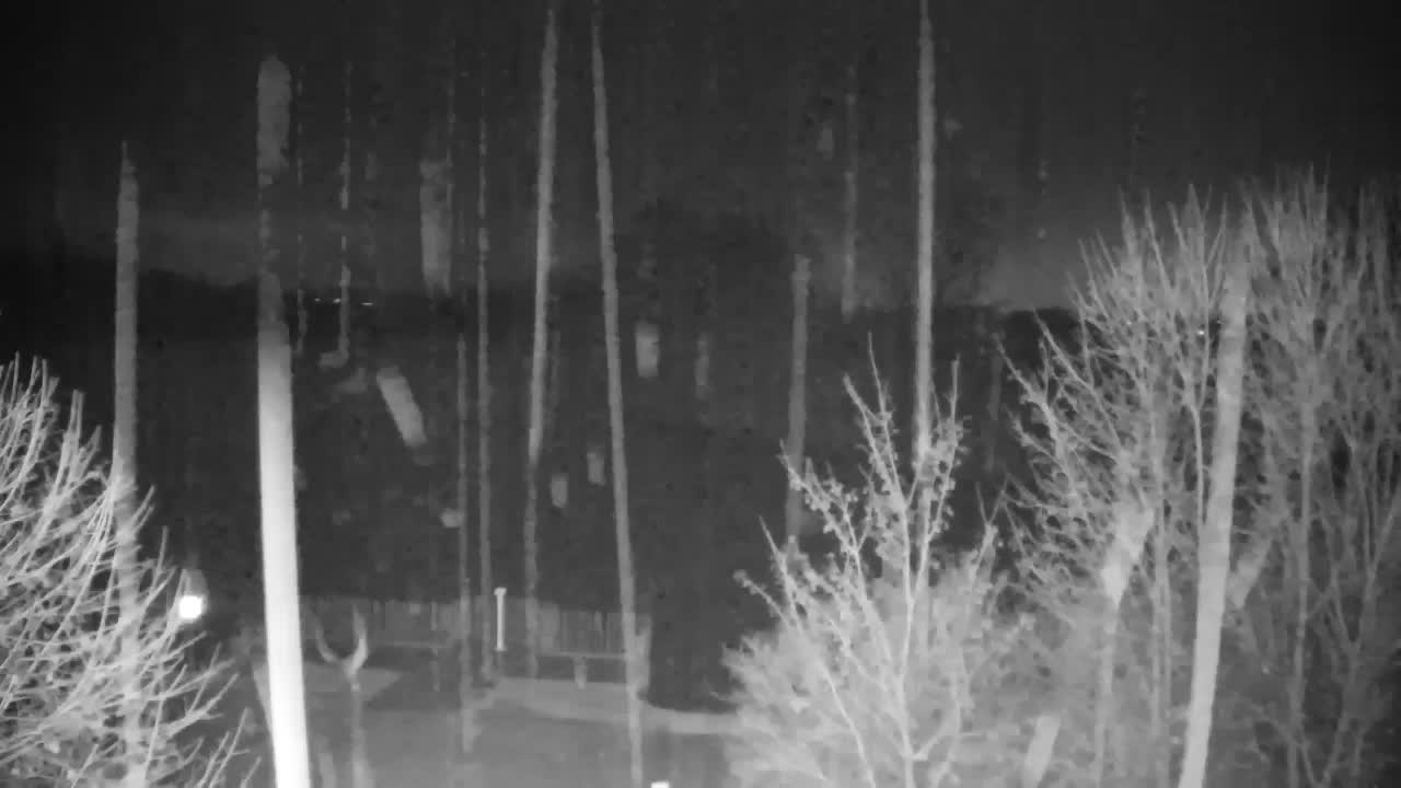 Spletna kamera Ribnik Vrbje – Žalec