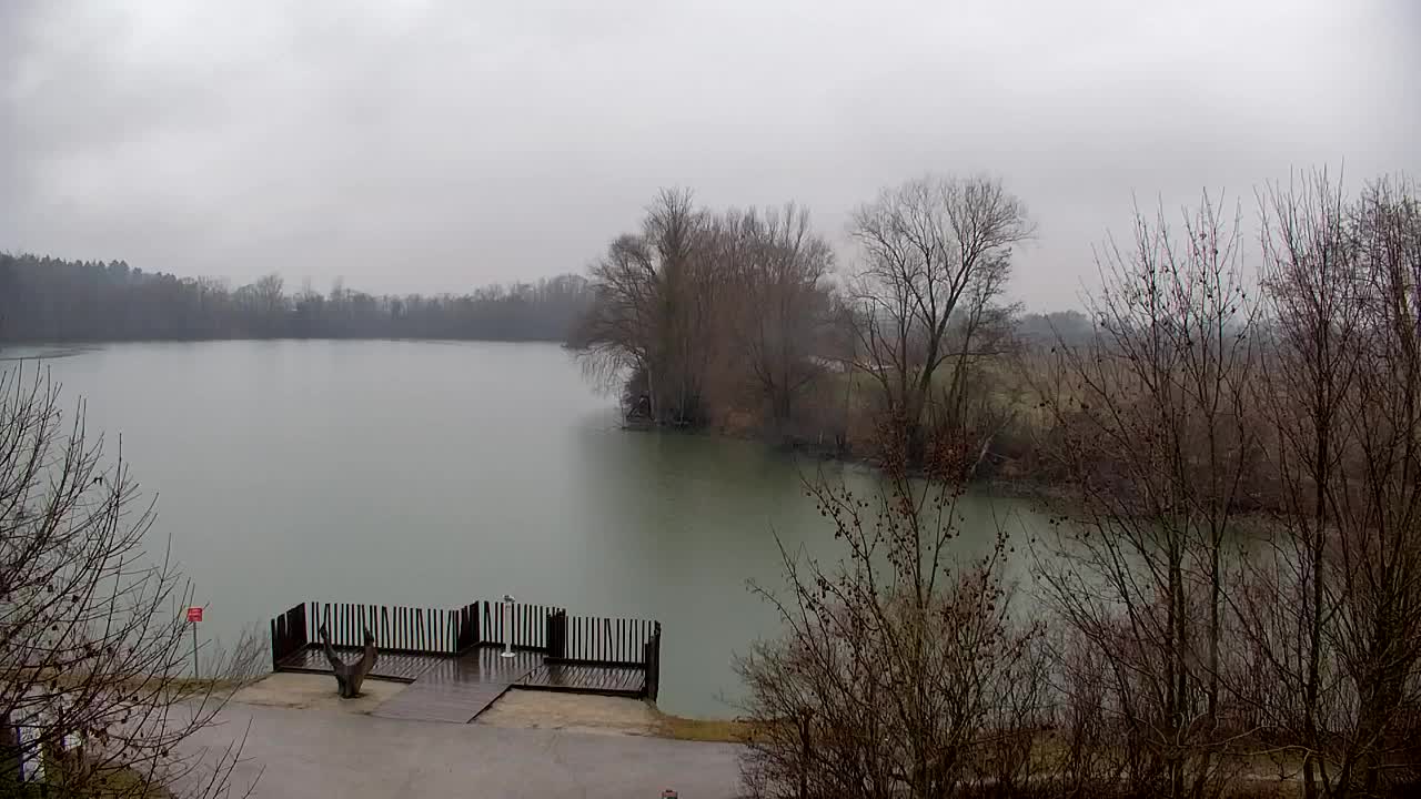 Webcam Ribnik Vrbje – Žalec