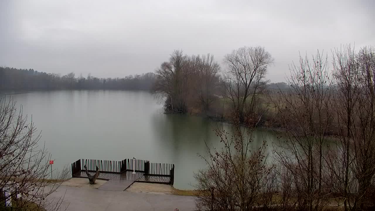 Webcam Ribnik Vrbje – Žalec