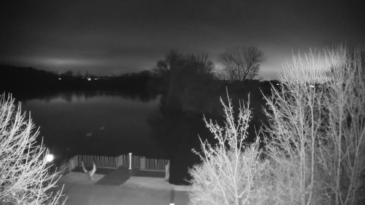 Webcam Ribnik Vrbje – Žalec