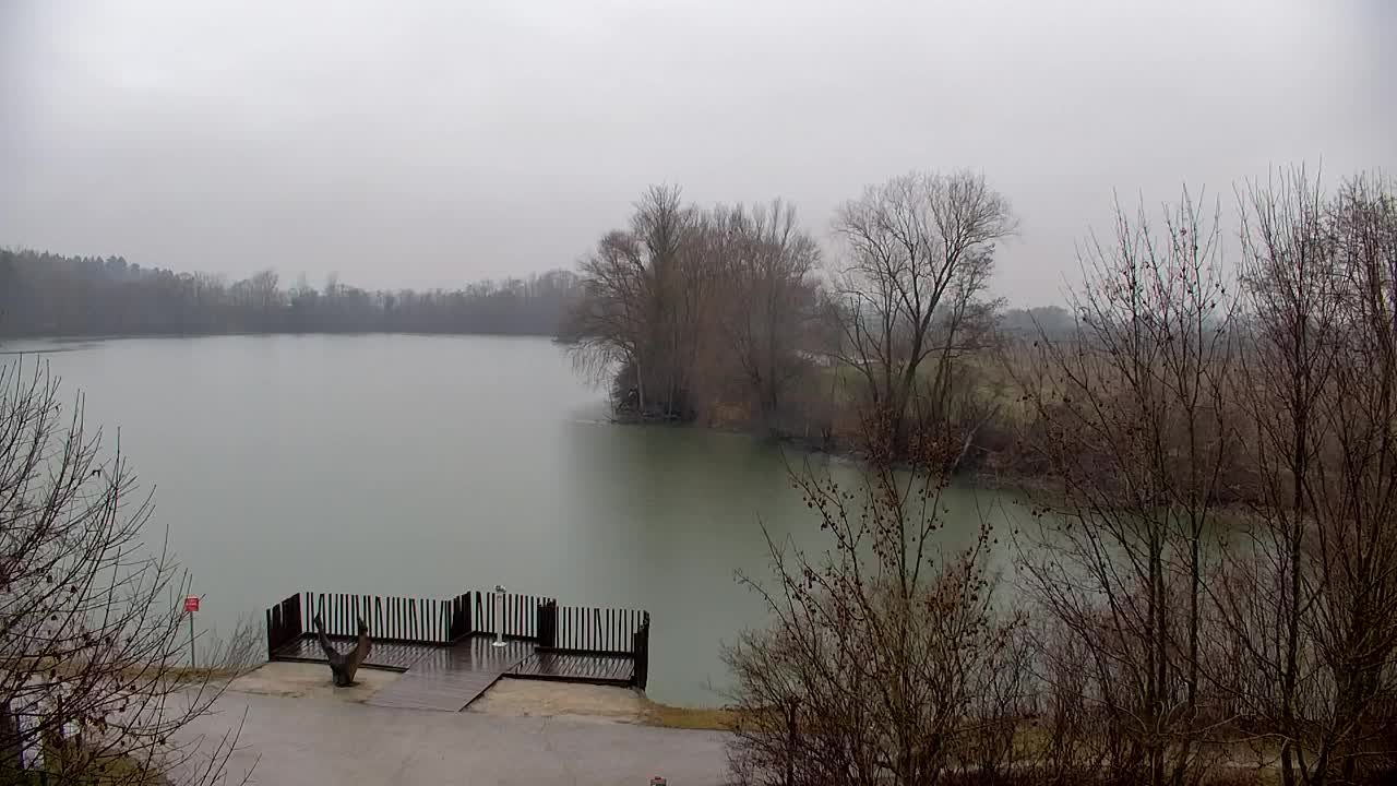 Webcam Ribnik Vrbje – Žalec