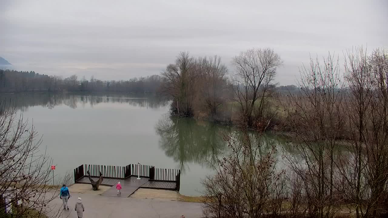 Webcam Ribnik Vrbje – Žalec