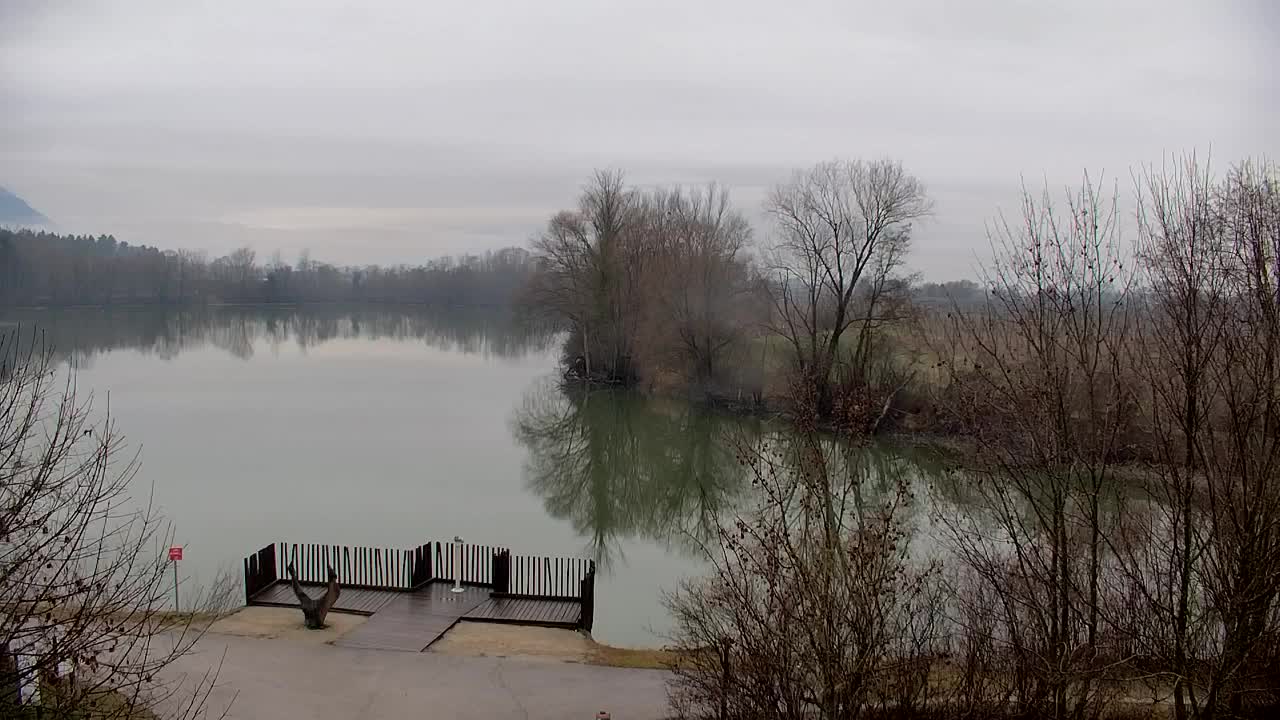 Webcam Ribnik Vrbje – Žalec