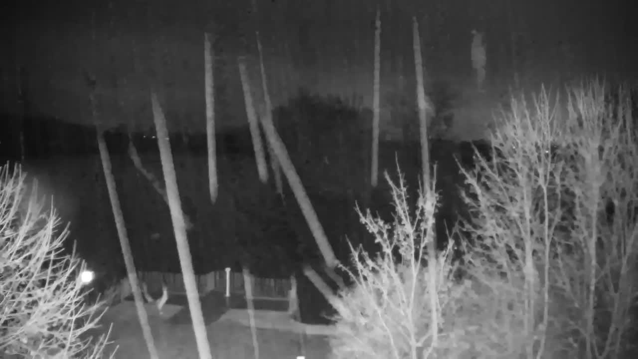 Webcam Ribnik Vrbje – Žalec