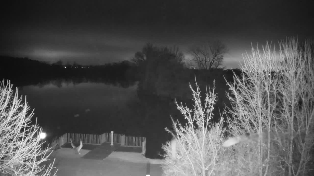 Webcam Ribnik Vrbje – Žalec